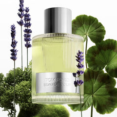 Tom Ford perfume bottle with lavender and green leaves on a white background
Beau De Jour Eau de Parfum by Tom Ford is a sophisticated and commanding scent that embodies the modern gentleman’s grooming ritual. With aromatic herbs, fresh lavender, and deep woods, it’s a luxurious olfactory journey for the man who leads with confidence and style. This 100% authentic imported tester delivers designer quality at a value you can’t resist.
