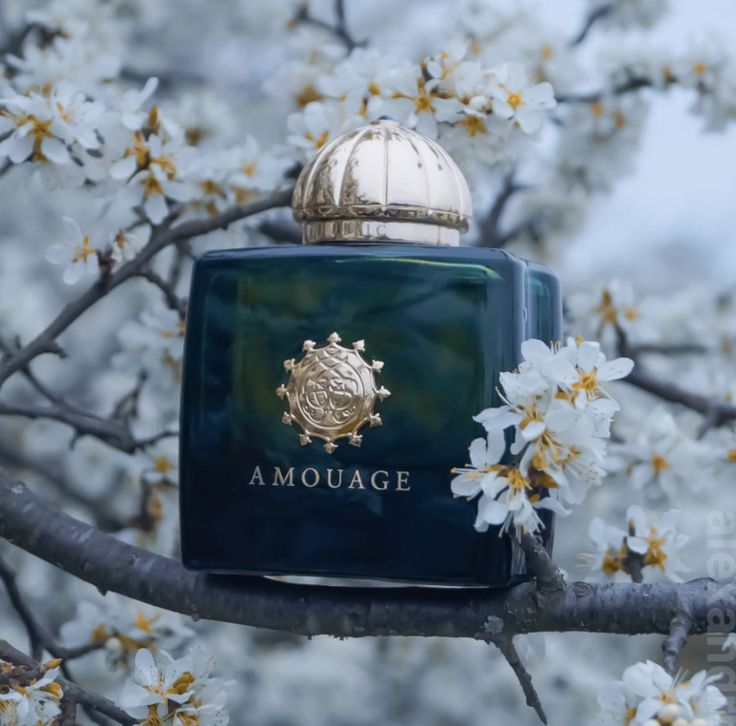 Amouage Interlude Eau de Parfum is a masterpiece of contrasts smoky yet sweet, spicy yet soft. It's a luxurious olfactory journey crafted for the modern aesthete who values&nbsp;depth, artistry, and elegance. This 100% authentic imported tester offers elite quality and performance, delivering a rich experience at a price that makes sense.