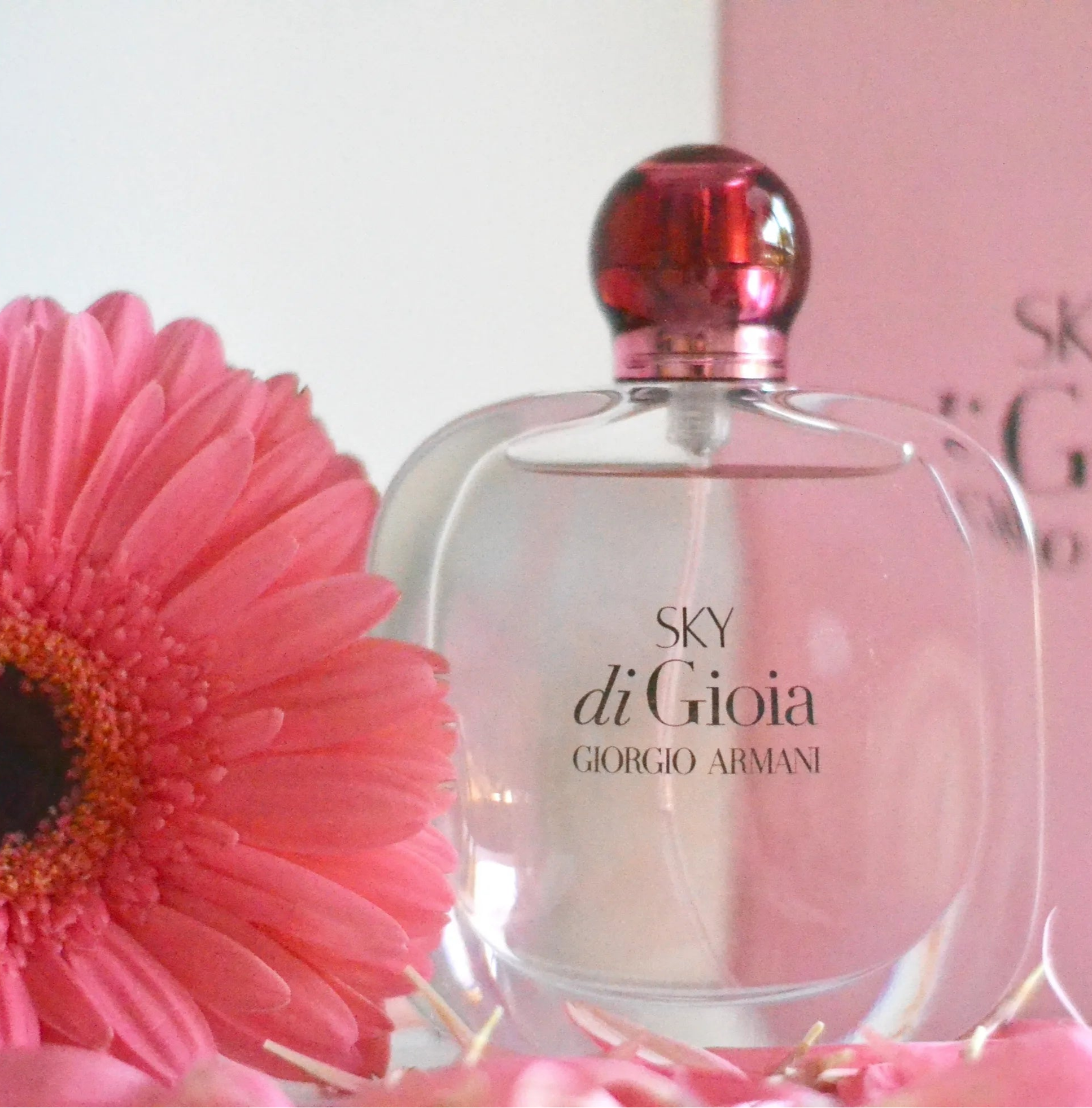 Sky di Gioia Eau de Parfum by Giorgio Armani is a radiant, feel-good scent that blends fruity and floral notes with a soft, musky base. Inspired by the vastness of the sky and the joy of new beginnings, this 100% authentic imported tester delivers elegance, freshness, and long-lasting charm without the designer price tag.