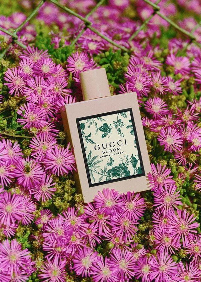 Gucci Bloom Acqua di Flori EDT 100ML | Scentdaze